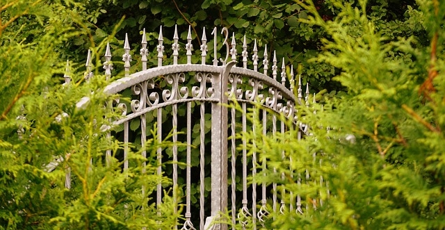 IV niedziela wielkanocna, rok A - 26.04.2026 r.