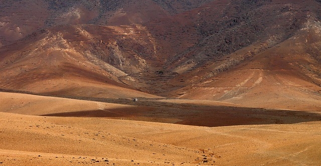 I niedziela Wielkiego Postu, rok A - 22.02.2026 r.